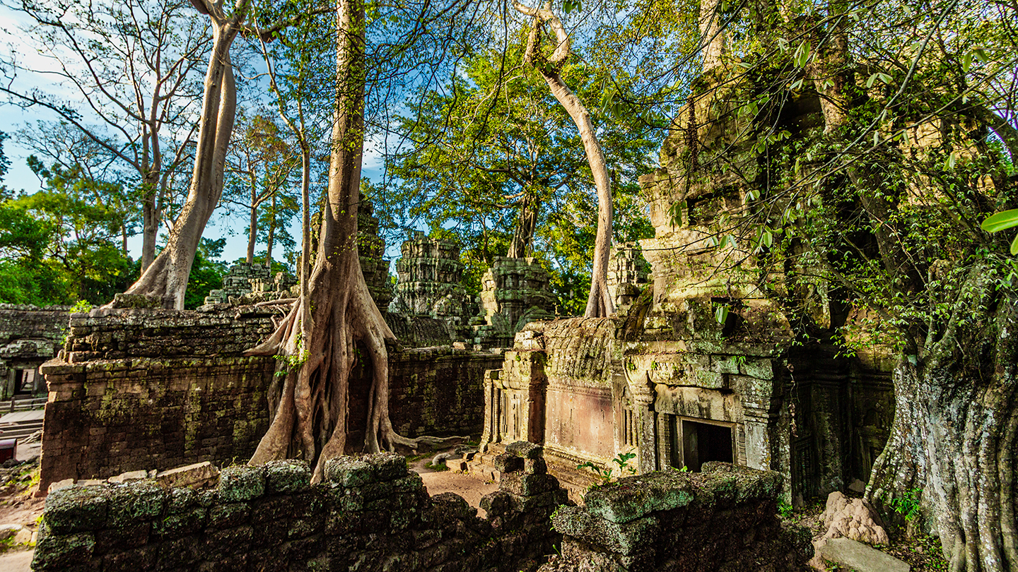 Pohled na západní část chrámu Ta Prohm